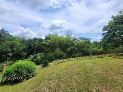 Windsor Park (D20), Detached #485214701